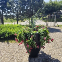 Donica z kwiatami