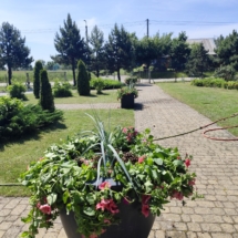Nowe donice na terenie Domu przy Lesie